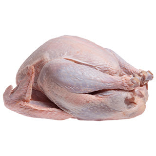 Frozen Turkey like snail, scrimps, crabs.