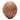 Coconuts - Fresh