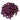 Red Kidney Beans (Big Seeds) 1 Mudu