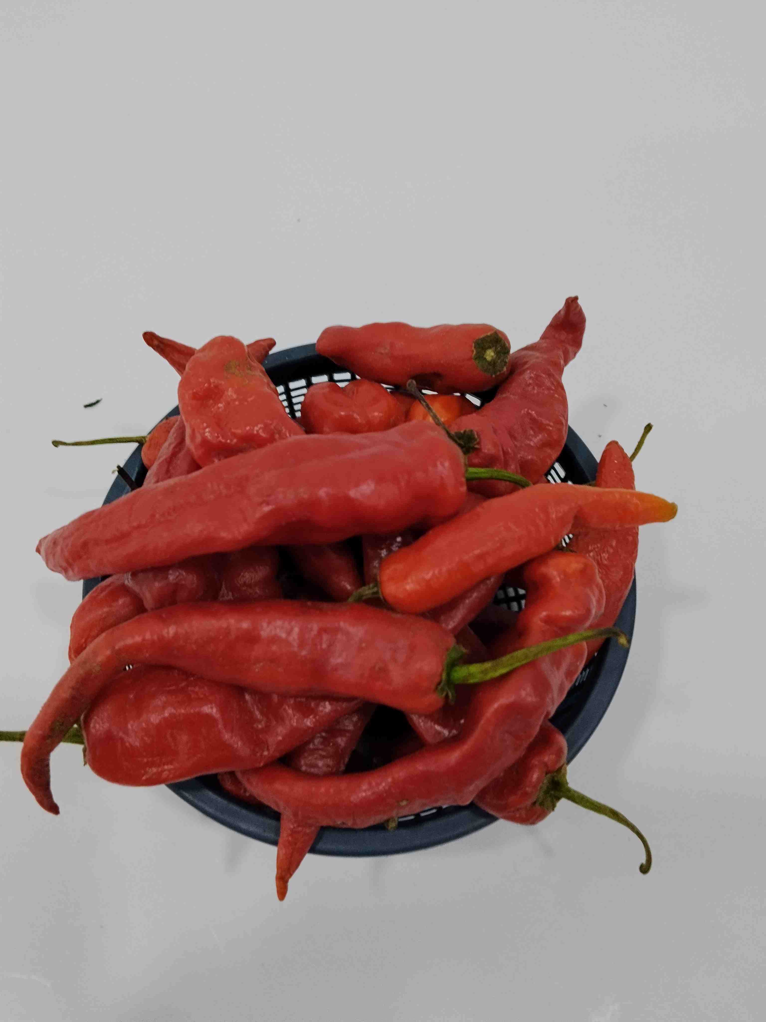 Shombo Powder Shombo Long Pepper – Fresh – OjaOba.com