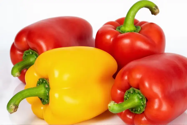 Bell pepper